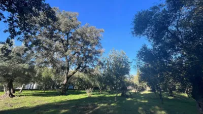 Rustic finca on Carretera El Bosque Ubrique photo 35