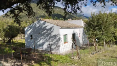Rustic finca on Carretera El Bosque Ubrique photo 36