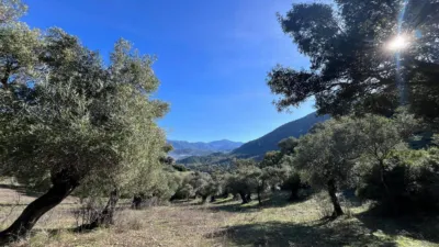 Rustic finca on Carretera El Bosque Ubrique photo 37