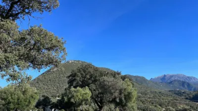 Rustic finca on Carretera El Bosque Ubrique photo 39