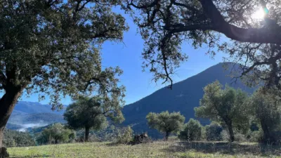 Rustic finca on Carretera El Bosque Ubrique photo 3