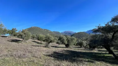 Rustic finca on Carretera El Bosque Ubrique photo 7