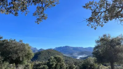 Rustic finca on Carretera El Bosque Ubrique photo 8