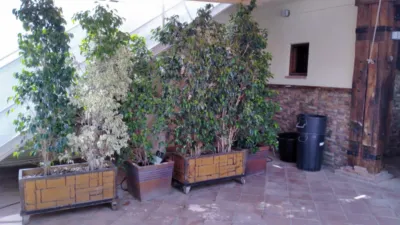 House in Los Cabezuelos photo 2