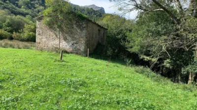 Casa - Más