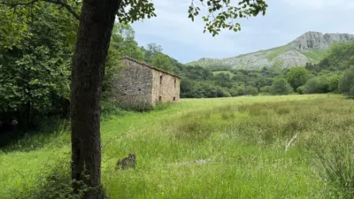 Casa - Vista 5