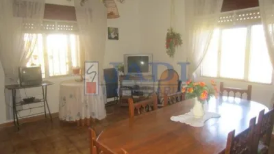 Miniatura 8