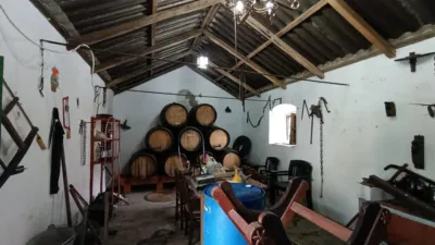 Rural Finca for Sale in El Pavo photo 21