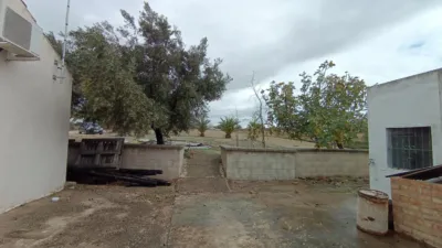 Rural Finca for Sale in El Pavo photo 32