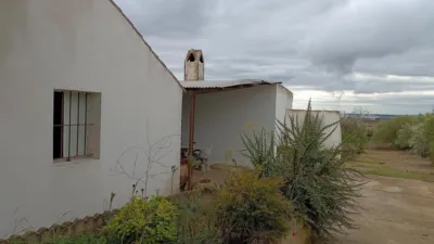 Rural Finca for Sale in El Pavo photo 36