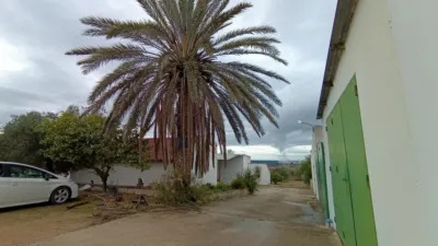 Rural Finca for Sale in El Pavo photo 3