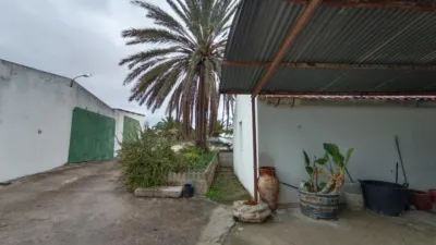 Rural Finca for Sale in El Pavo photo 4