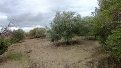 Rural Finca for Sale in El Pavo photo 7