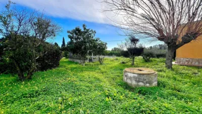 Casa – Xàbia / Jávea, Urbanització La Finca, la Marina Alta - Vista 4