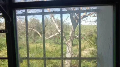 Rustic finca in Jadramil photo 17