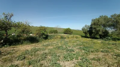 Rustic finca in Jadramil photo 20