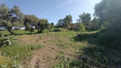 Rustic finca in Jadramil photo 21