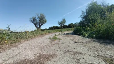 Rustic finca in Jadramil photo 22
