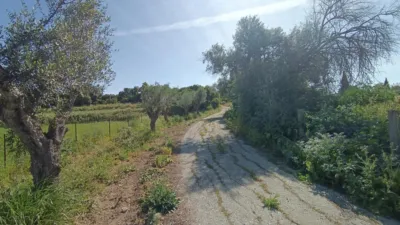 Rustic finca in Jadramil photo 23