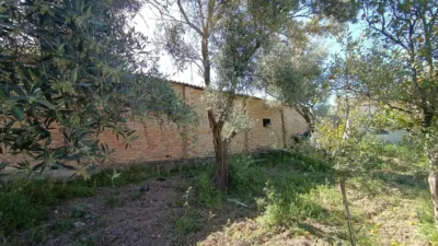 Rustic finca in Jadramil photo 27