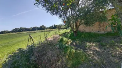 Rustic finca in Jadramil photo 28