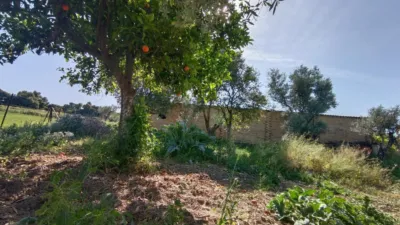 Rustic finca in Jadramil photo 29
