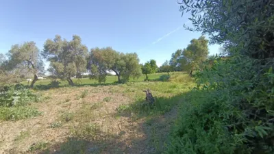 Rustic finca in Jadramil photo 31
