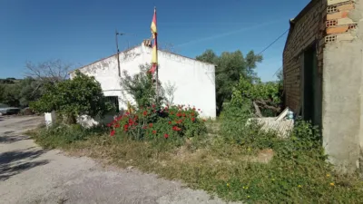Rustic finca in Jadramil photo 6