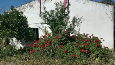 Rustic finca in Jadramil photo 7