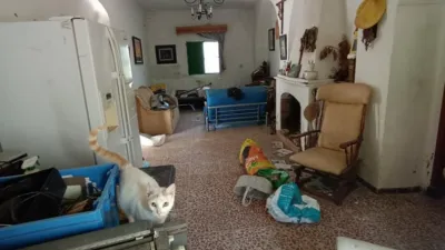 Rustic finca in Jadramil photo 8
