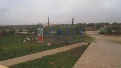 Miniatura 7