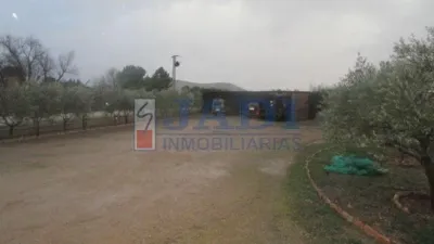 Miniatura 8