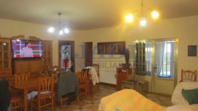 Miniatura 9
