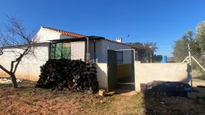 Miniatura 11