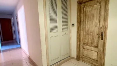 Apartment in Casco Urbano photo 19