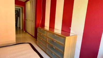 Apartment in Casco Urbano photo 20