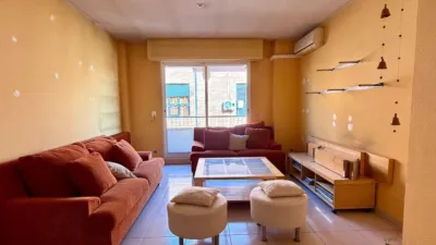 Apartment in Casco Urbano photo 5