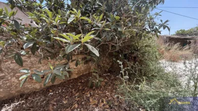 Finca rústica en venta en Calle Paraje Ruices, Número S/N, Los Martínez del Puerto (Distrito Campo de Murcia. Murcia Capital) de 149.500 €