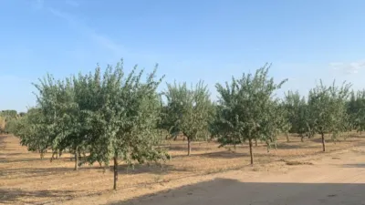 Finca rústica en venta en San Andres, Reina Sofía-Salesianos-Bodegones (Mérida) de 300.000 €