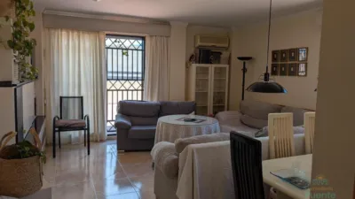 Penthouse in Casco Urbano photo 15