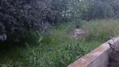 House in La Costera photo 8