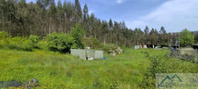 House on Calle Pozo Vega photo 35