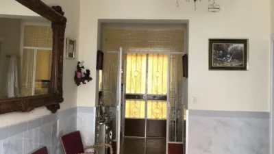 House in Olivo photo 6