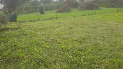 House in the Outskirts photo 8