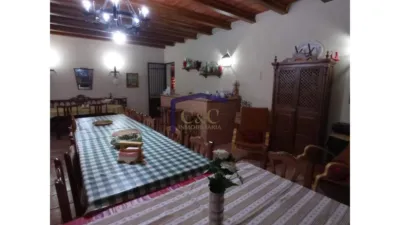 Miniatura 11