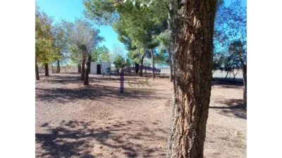 Miniatura 10