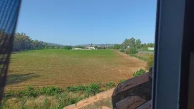 Rustic finca on Carretera Villamartin-Bornos photo 12