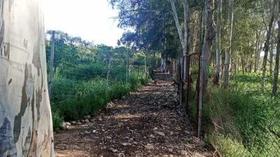 Rustic finca on Carretera Villamartin-Bornos photo 14