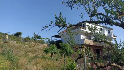 Rustic finca on Carretera Villamartin-Bornos photo 15