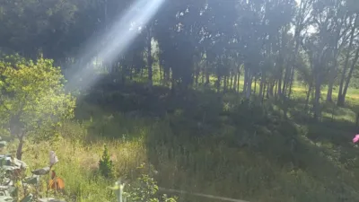 Rustic finca on Carretera Villamartin-Bornos photo 2